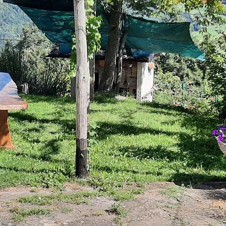 Casa Tonacchiolo Acomodação com café da manhã Acquaria Exterior foto